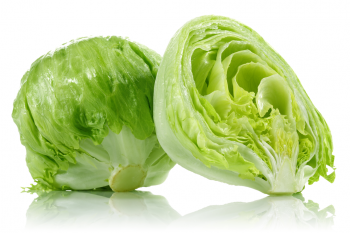 Lettuce