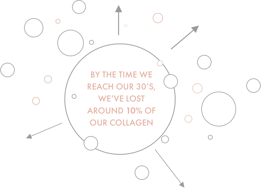 Collagen lost by age 30