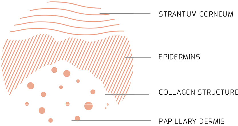 Skin diagram