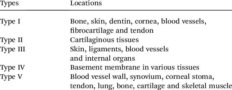 Types of collagen and their locations in the body | Download Table