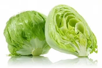 Lettuce Craving